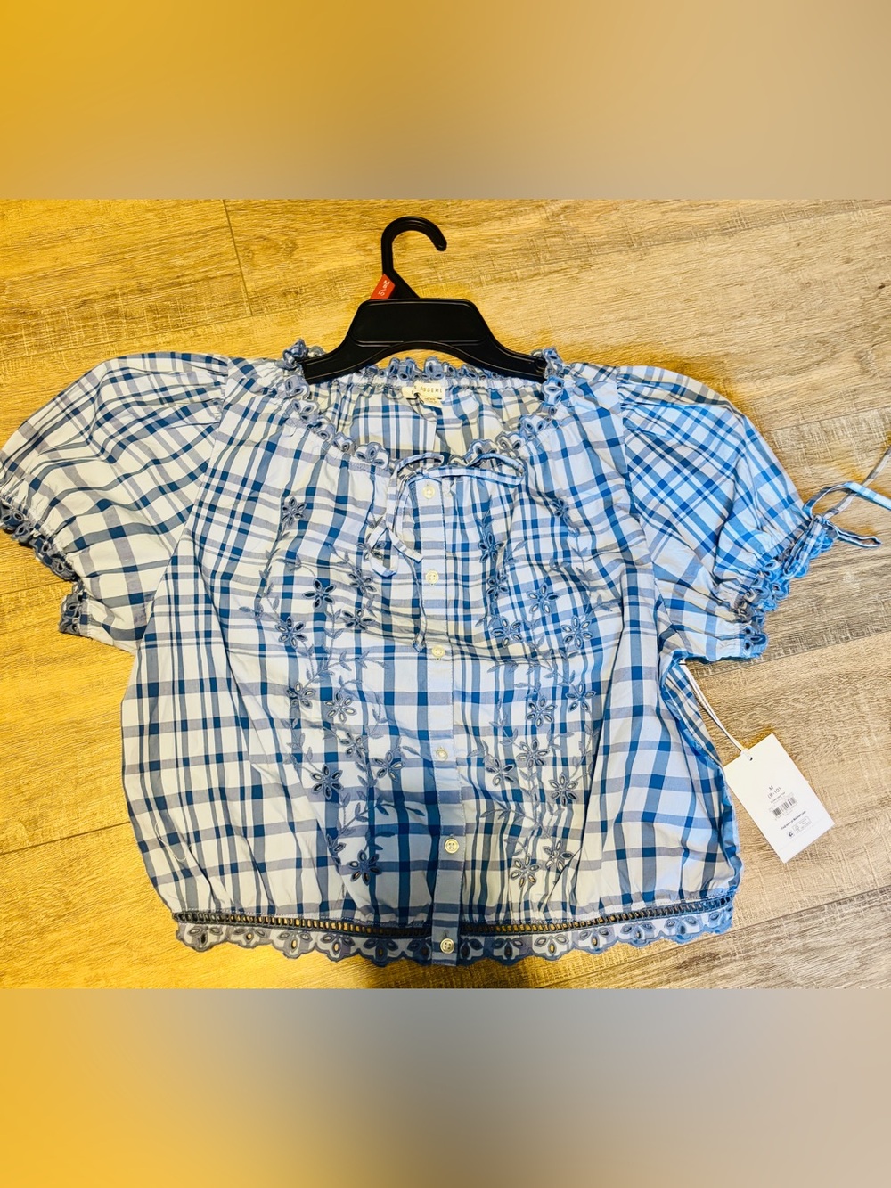 Free Assembly Blue Plaid Embroidered Puff Sleeve Cottagecore Crop Top NWT